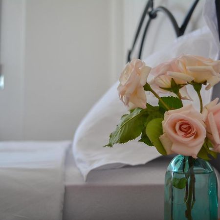 Moraceae Lovely Apartment Тирана Екстериор снимка